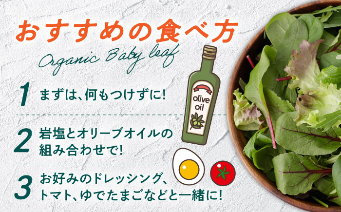 有機野菜 ベビーリーフ 計700g (35g×20パック)  山都町産 産地直送 高原野菜 有機JAS認証取得【株式会社 清和ミネラル会】 [YBT005]