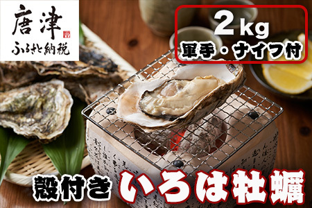 『先行予約』【12月中旬より順次発送】唐津産 殻付きいろは牡蠣 2kg(軍手・ナイフ付)期間限定 産地直送 殻付き 牡蠣 カキ 殻付き牡蠣 佐賀県 海鮮 BBQ 加熱用 お取り寄せ 贈り物 冬ギフト ギフト