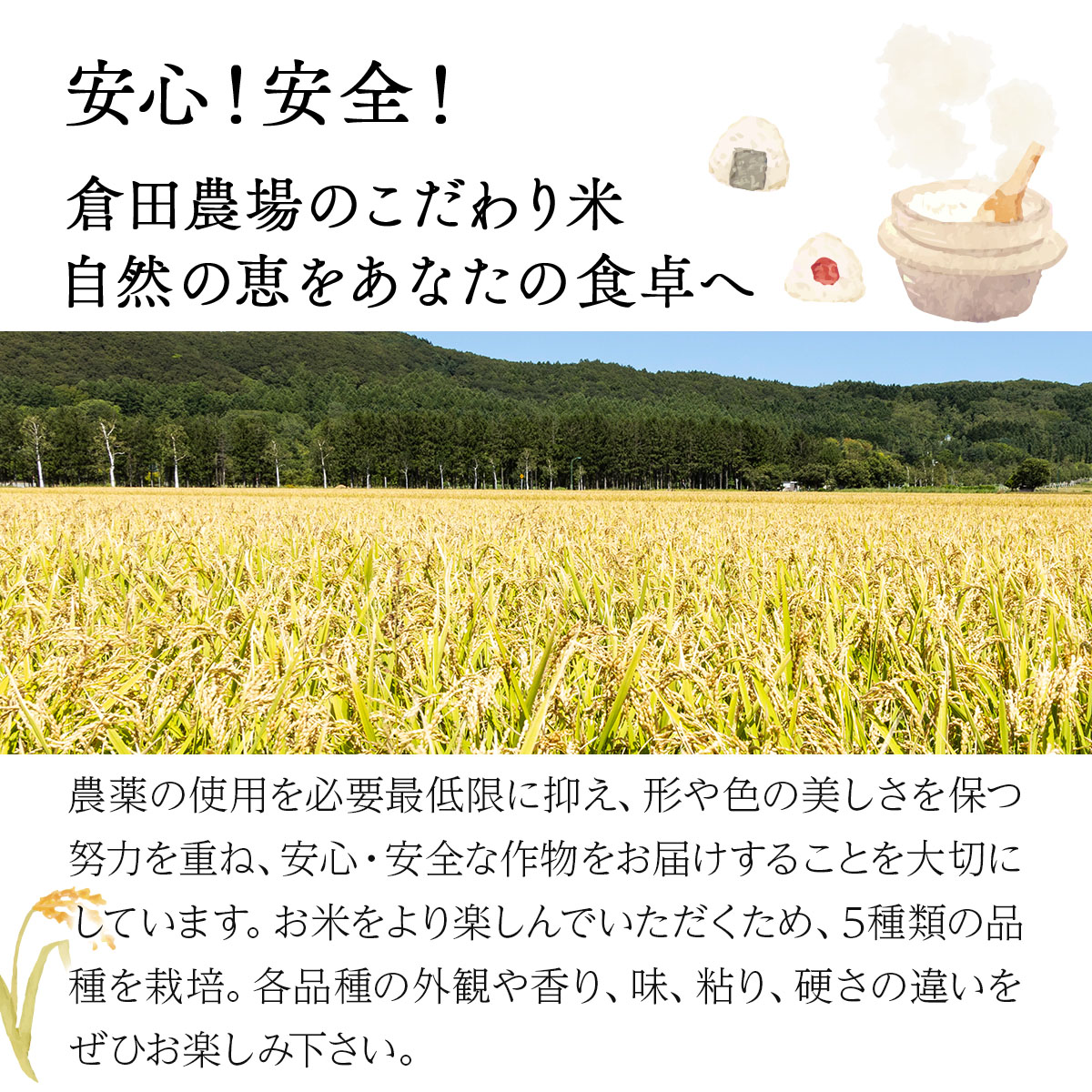 5ヶ月定期便　令和7年産北海道岩見沢産米　おぼろづき精米5kg≪沖縄・離島配送不可≫【35042】