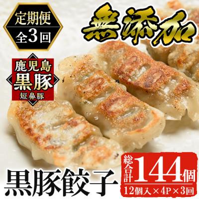 ふるさと納税 姶良市 【毎月定期便】鹿児島黒豚「短鼻豚(たんびとん)」餃子4パックセット(姶良市)全3回