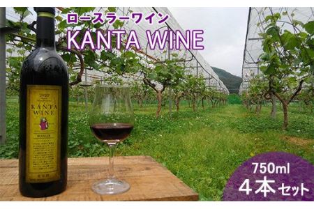 ロースラー ワイン KANTA WINE  2022（赤）750ml×4本セット 【969】
