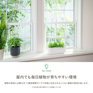 IZUMI　水耕栽培キット Hugvege　SA-H133A-W　（本体、培地スポンジ、液肥、ランダムタネ2種類）| 植物 野菜 育成 園芸 家庭菜園 長野県 松本市 ふるさと納税