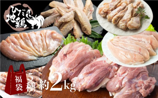 【お楽しみ福袋 合計2kg】飛騨地鶏 お楽しみ福袋 合計2kg 鶏肉 小分け 福袋 飛騨地鶏 地鶏 モモ肉 手羽先 手羽元 ささみ 合計2kg 鶏肉 飛騨