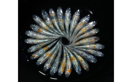 129-33　桜餅　オス・メス　ランダム10匹