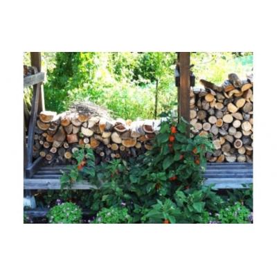 ふるさと納税 伊那市 木質ペレット　ピュア1号　(10kg×6袋) |  | 01