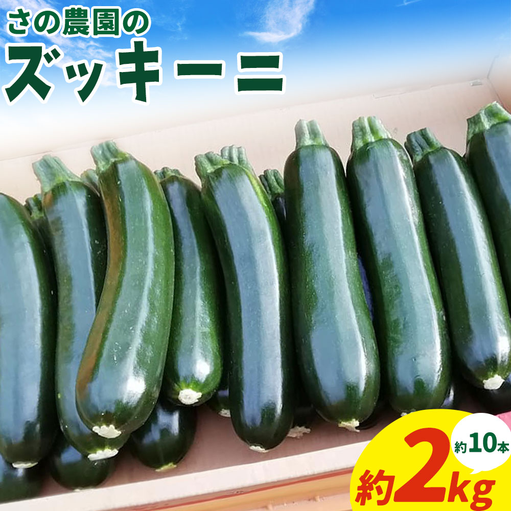 【ふるさと納税】【先行予約】ズッキーニ 約 2kg 約 10本 前後 野菜 さの農園《2026年4月中旬-7月上旬頃出荷》岡山県産 瓜 青果 岡山県 矢掛町