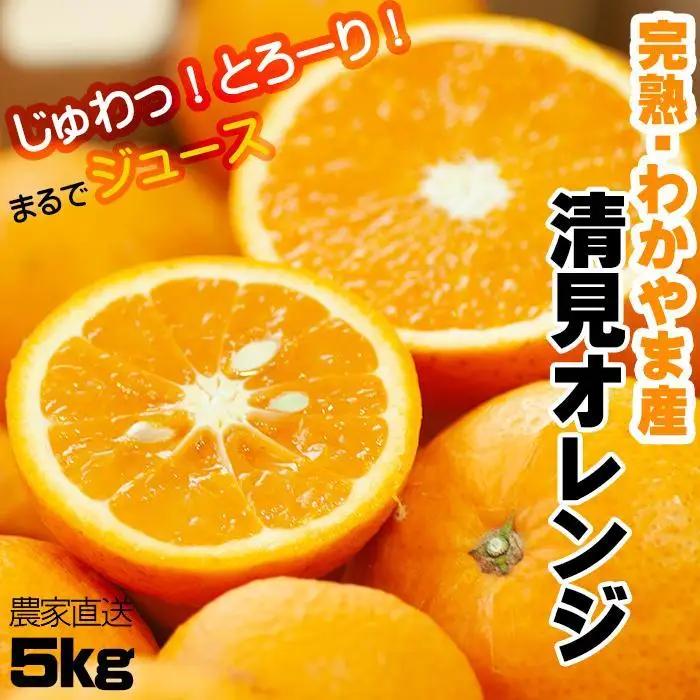 【令和9年 先行予約】清見オレンジ 5kg 混合サイズ 訳あり 和歌山県 海南市 鈴木農園から直送 清見オレンジはスマイルカットがおすすめ みかん フルーツ 柑橘