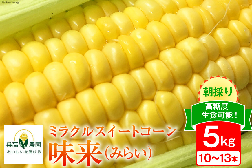 
【糖度平均18度以上】とうもろこし 朝どれミラクルスイートコーン「味来」5kg箱 10～13本 [桑高農園 静岡県 吉田町 22424254] コーン トウモロコシ スイートコーン 朝採り 朝採れ 甘い
