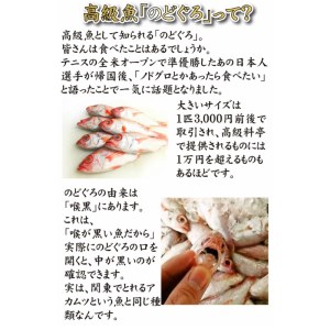 天然 のどぐろ 真鯛 ふぐ 生茶漬け 3点セット 各2食分 下関 山口 AU413