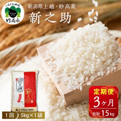 ふるさと納税 妙高市 【2026年3月中旬発送】【定期便】令和7年産 新潟県上越・妙高産新之助5kg×3回(計15kg)