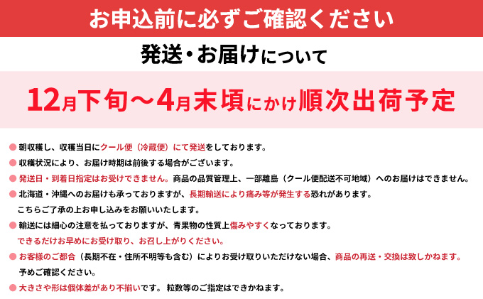 《先行予約》あまおう 約300g×2パック おすすめ 福岡県 大木町 BO003 【2026年12月下旬～2027年4月末頃にかけて順次出荷予定】いちご フルーツ 苺