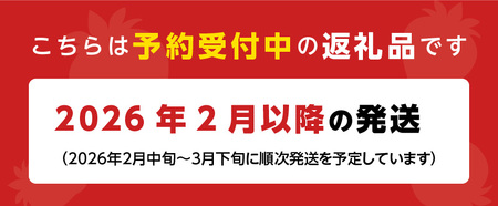 【2026年2月より順次発送】丸徳農園の福岡県産あまおう_丸徳農園 福岡県産 あまおう 300g × 4パック いちご いちごの王様 甘い 酸味 バランス 冷蔵 肉厚 大きい うまい おやつ デザート