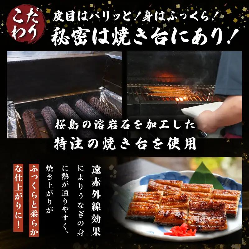 職人 手焼き うなぎ蒲焼 1尾 計130g以上 鰻 魚介類 伝統の味 秘伝のタレ 厳選 国産 ウナギ おかず 食品 加工品 真空パック 冷蔵 人気 おすすめ うな重 うな丼 惣菜 お土産 ひつまぶし 