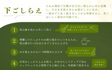 山椒 さんしょう 生山椒 生さんしょう 調味料 スパイス 香辛料 山椒の実 山椒の実生 実 / 【受付は5月15日まで！】 ぶどう生山椒 500g【twn007A】