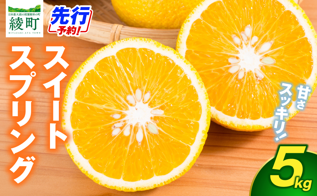 【先行予約】希少柑橘「スイートスプリング」5kg [化粧箱] 果物 フルーツ くだもの 柑橘 オレンジ みかんジュース おすすめ ギフト 贈り物 贈答 プレゼント おすそ分け おやつ スイーツ デザート 常温 産地直送 宮崎県 綾町 送料無料【JA綾町】_A0114-2581