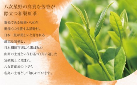 M26-15 八女星野産 和紅茶150パック(2g×10個入×15袋)