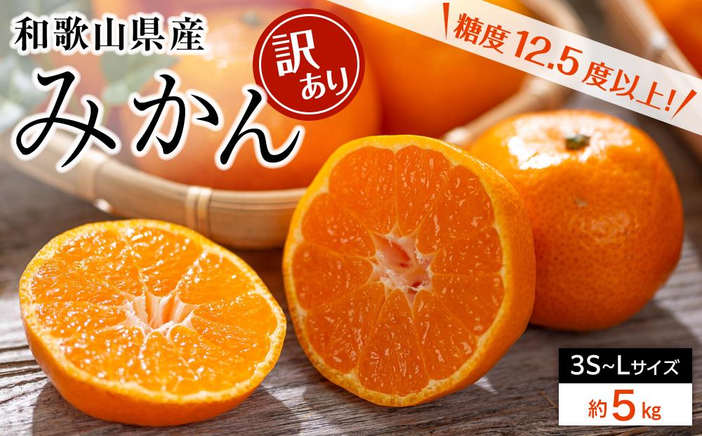 和歌山県産 糖度 12.5度以上 訳あり みかん 5kg 3S ～ Lサイズ混合［MG57］