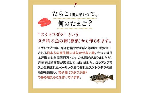 【 訳あり 】たらこ (切子)500g×2 合計1kg タラコ たらこ 海鮮 おかず ご飯のお供 規格外 家庭用 切子 小分け _F4F-6078