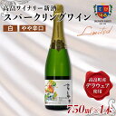 【ふるさと納税】高畠ワイナリー 新酒 2024 スパークリングワイン 750ml×1本 （2024年10月上旬より発送予定） 白ワイン やや辛口 デラウェア 山形県 高畠町 F20B-639