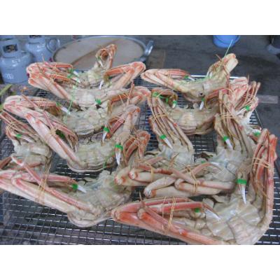 ふるさと納税 宮津市 松葉蟹　ほぐし身(小〜中)※活き蟹700g級使用【甲羅盛り】 |  | 02