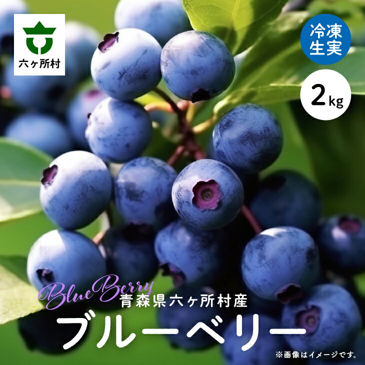【ふるさと納税】《先行予約 2026年8月中旬～順次出荷》六ヶ所村産 ブルーベリー 冷凍 生実 2kg 果物 国産 フルーツ 果実 ジャム スムージー 旬 新鮮 甘い グルメ お取り寄せ ギフト 訳あり お歳暮 返礼品 六ヶ所村 青森 送料無料 【就労継続支援B型事業所かけはし】