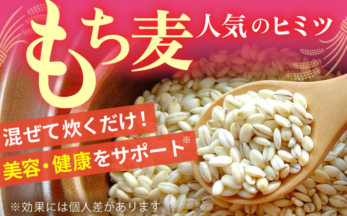 白米・もち麦セット（ さがびより3kg ・ キラリモチ 300g×2袋 ）【大塚米穀店】 麦 もち麦 米 精米 [HBL094]
