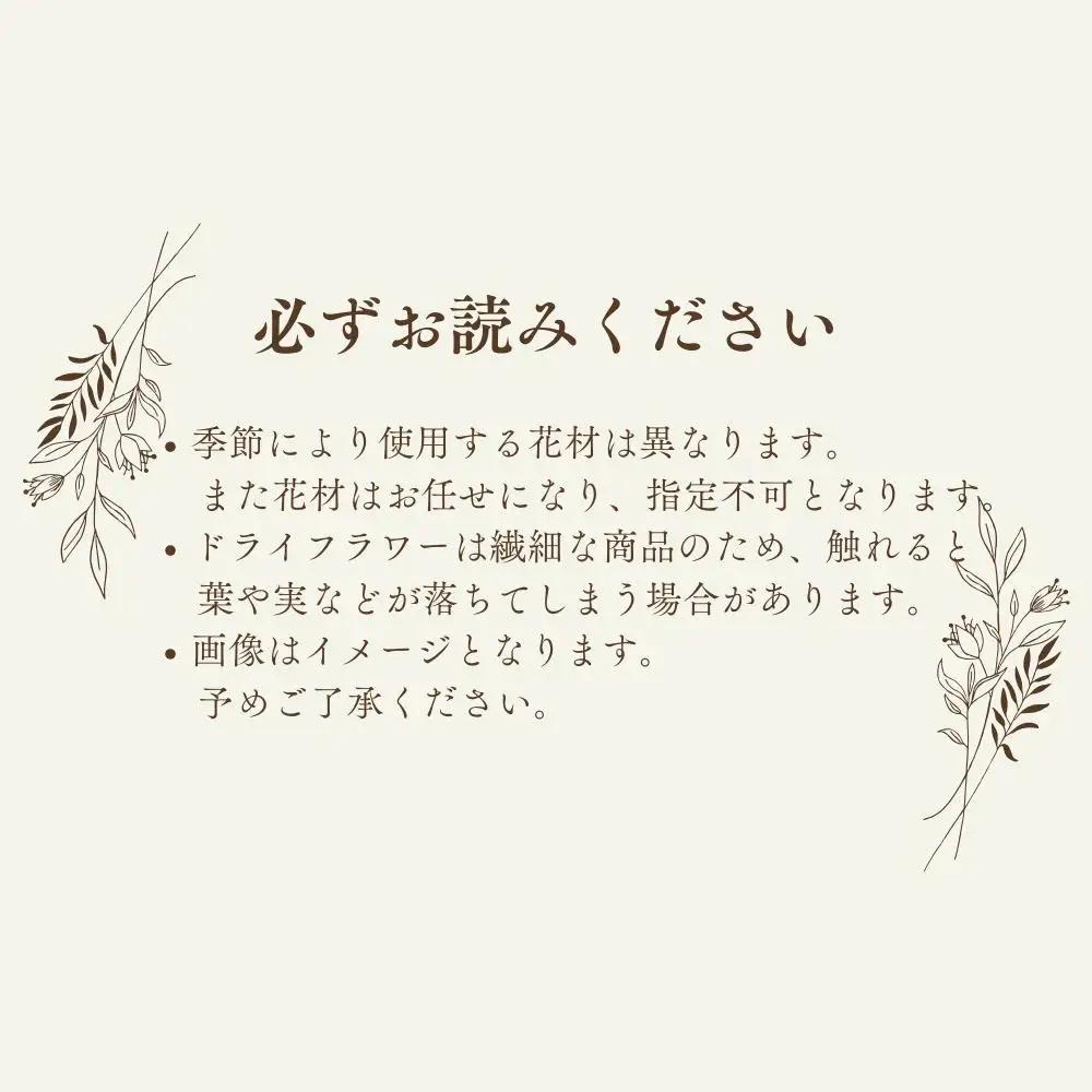 ドライフラワー季節の花定期便（年3回）（白・グリーン、ピンク、おまかせ）の3種よりランダムにお届け  XY003