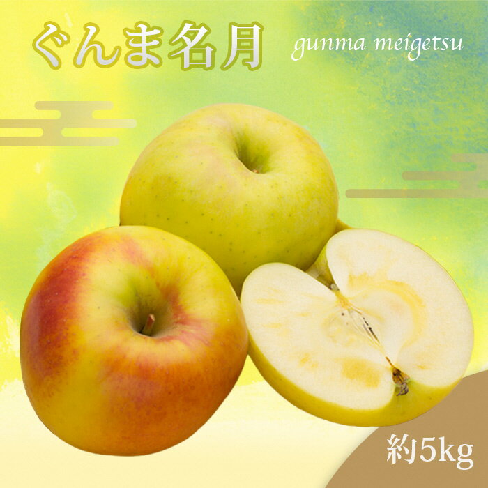 【ふるさと納税】【2025年11月発送分先行受付】山形のりんご（ぐんま名月）約5kg_H208(R7)