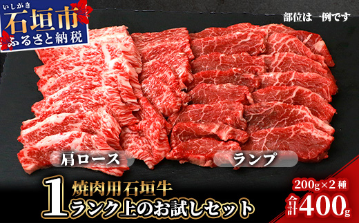 石垣牛・焼肉用・1ランク上のお試しセット・ミスジ、イチボなど希少部位が200g×2種＝計400g入り【 沖縄 石垣 石垣牛 焼き肉 牛肉 希少部位 セット 】SI-20-1