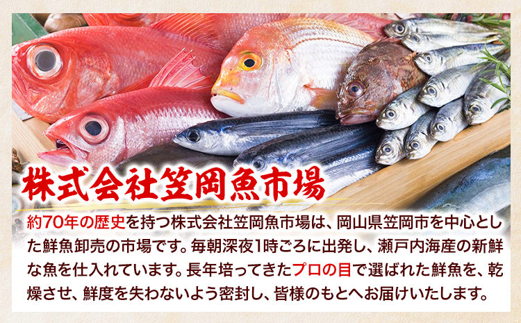 焼き穴子 約800g 笠岡魚市場《45日以内に出荷予定(土日祝除く)》岡山県 笠岡市 穴子 海鮮 魚 お魚