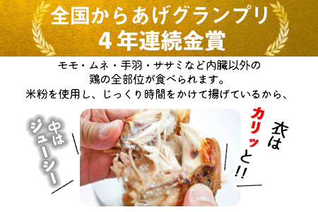 ＜半身からあげ3本セット(塩味×2本 スパイス味×1本)＞【 唐揚げ 鶏 とり 鶏肉 揚げ物 パーティー お祝い】翌月末迄に順次出荷