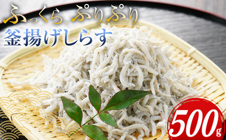 ふっくら、ぷりぷり 釜揚げしらす 500g