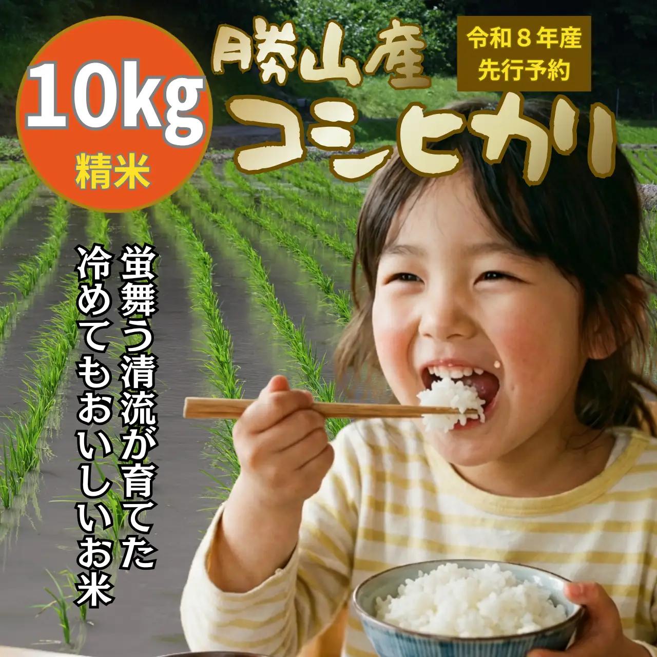 米 コシヒカリ 精米 10kg 令和8年産 先行予約 [A-104003]