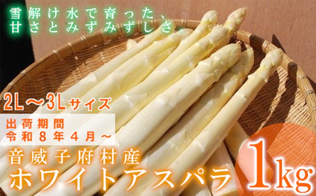 音威子府村産 ホワイトアスパラガス