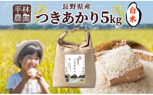 ＜先行予約＞令和7年産 つきあかり 白米 5kg×1袋 長野県産 米 精米 お米 ごはん ライス 甘み 農家直送 産直 信州 人気 ギフト お取り寄せ 平林農園 送料無料 長野県 大町市