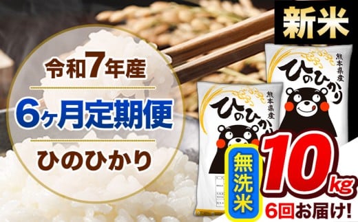 【6ヶ月定期便】新米 令和7年産  定期便 無洗米 ひのひかり 10kg 《お申込み翌月から出荷》令和7年産 熊本県産 ふるさと納税 精米 ひの 米 こめ ふるさとのうぜい ヒノヒカリ コメ 熊本米 ひのもり