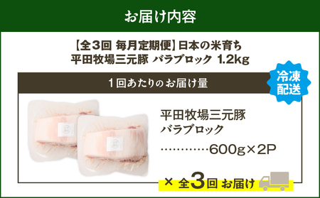 【 全3回 毎月 定期便 】 日本 の 米育ち 平田牧場 三元豚 バラ ブロック 1.2kg T036-T09-01 定期 肉 お肉 にく 豚 豚肉 ブタ ぶた 豚の角煮 角煮 焼豚 厚切りソテー 黒
