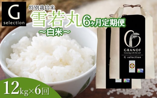 【令和7年産先行予約】 【定期便6ヶ月】 特別栽培米 Gセレクション 雪若丸【白米】 12kg (6kg×2袋)×6ヶ月 山形県鶴岡市産　株式会社グラノフ