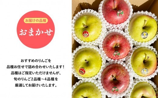 2027年1月発送　品種お任せ　贈答用　旬のりんご詰め合わせ３kg【青森県 平川市 そと川りんご園】