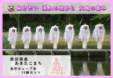 【令和5年産米】秋田県産あきたこまち　真空キューブ米セット[B1-2501]