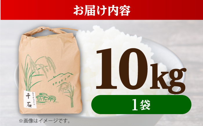 【先行予約/10月中旬以降発送】【令和8年産】福井県産コシヒカリ「千石」 米 10kg 新米 お米 小浜市 / 千石の郷 [BFCA001]