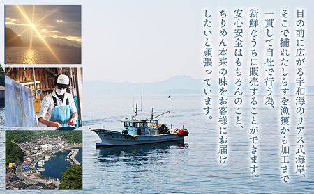井上のちりめんＡ　特撰上物ちりめん