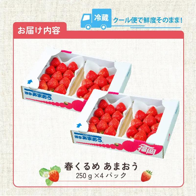 【2027年2月以降お届け】福岡産［春］あまおう4パック_春くるめ あまおう 250g × 4パック 合計 1kg シール付き 冷蔵 濃厚 甘い 果汁 アフター保証 安心安全 国産 いちご 果物 アレ