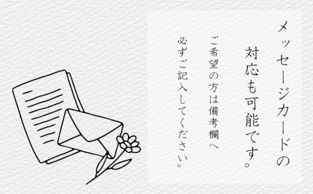 胡蝶蘭 3株 花 ギフト 記念日 お祝い 胡蝶蘭