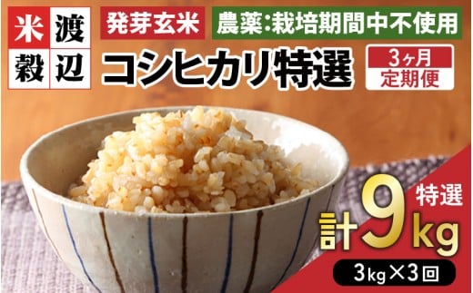 【期間限定】【3ヶ月連続お届け】【令和7年産】発芽玄米 コシヒカリ「特選」特別栽培米使用 3kg×3回（計9kg）【米 こしひかり 玄米 ギャバ GABA 特別栽培 食物繊維 栄養 真空パック ごはん ご飯 おいしい ふるさと納税米】 [E-2924]