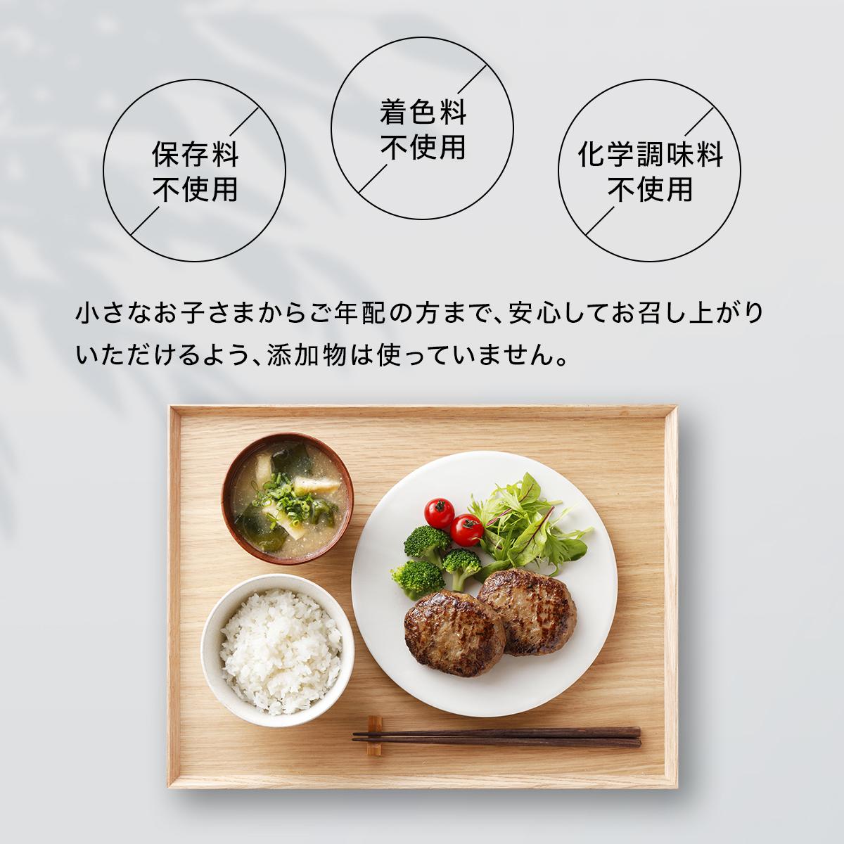無添加 国産牛100% 直火焼き ハンバーグ 100g×6袋 電子レンジ 湯煎 [1305]