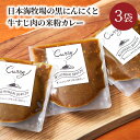 【ふるさと納税】日本牧場の黒にんにくと牛すじ肉の米粉カレー（3袋） カレー カレー粉 カレーパウダー 京たんくろ和牛 米粉 グルテンフリー 黒にんにく コク あっさり 180g 3袋 冷凍