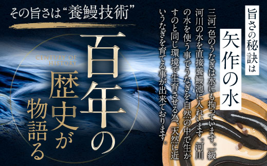 【期間限定】三河一色産うなぎ蒲焼大3尾(計420g以上)・R006-22
