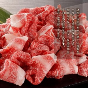 熊本県産　GI認証取得　くまもとあか牛　切り落とし 合計1kg【益城町】【配送不可地域：離島】【1113935】