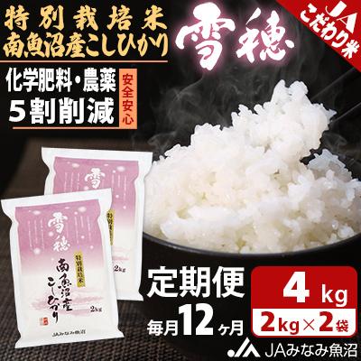 ふるさと納税 南魚沼市 【毎月定期便】特別栽培米南魚沼産こしひかり「雪穂」 精米 4kg(2kg×2袋) 全12回